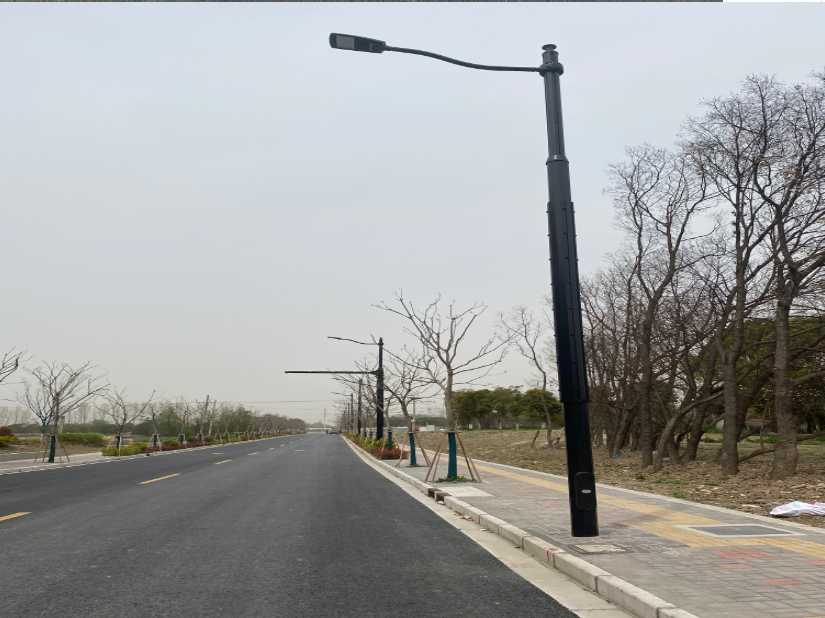 张家川回族自治县上海综合杆 太阳能路灯工程